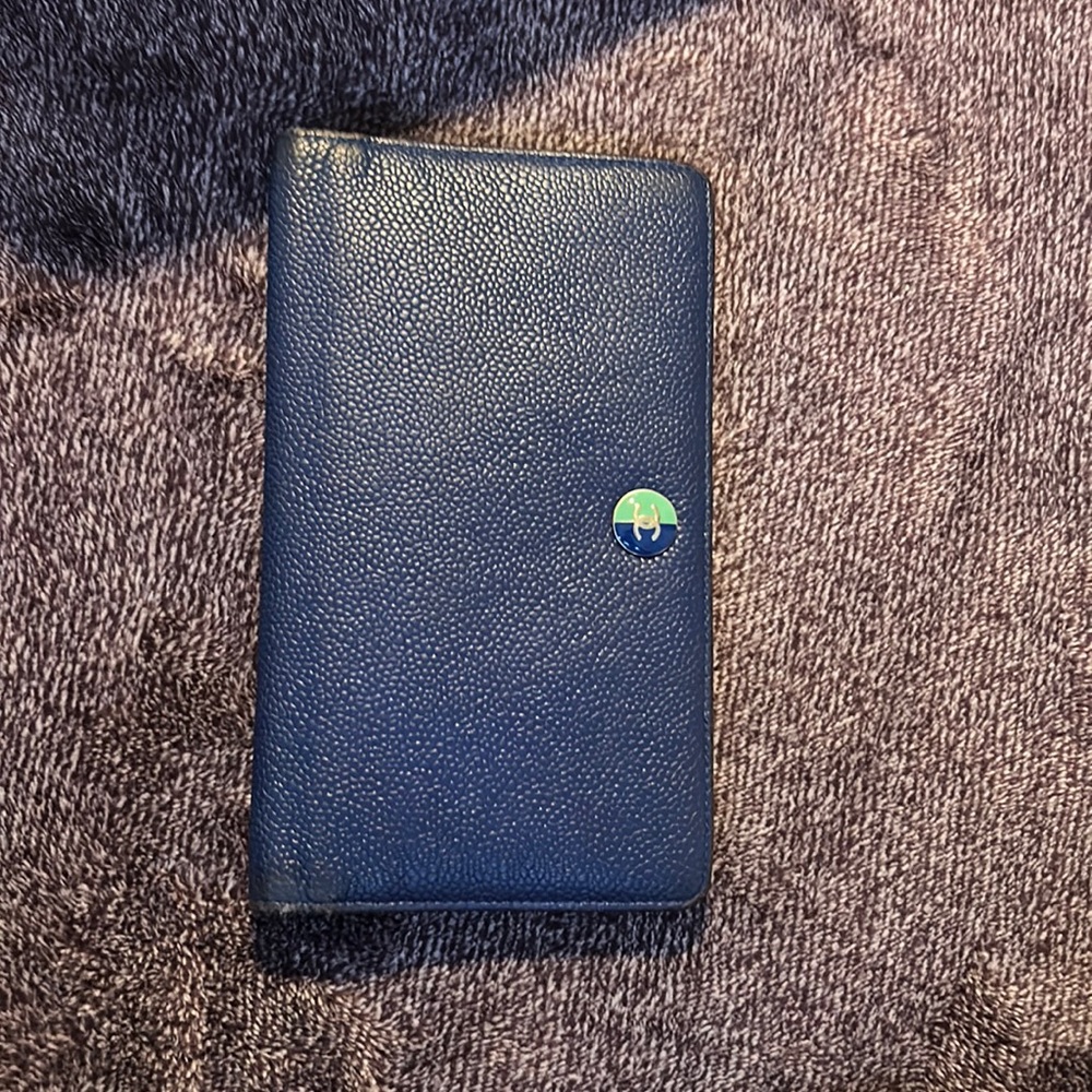🌸 CHANEL L YEN BLUE AND GREEN 🌸